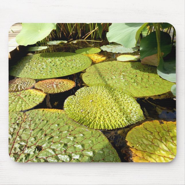 Alfombrilla De Ratón Lily Pads Mouse Mat (Frente)