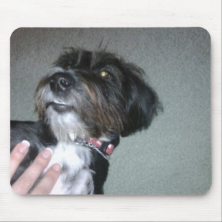 Alfombrilla De Ratón Lilypad