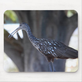 Alfombrilla De Ratón Limpkin