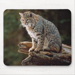 Alfombrilla De Ratón Lince
