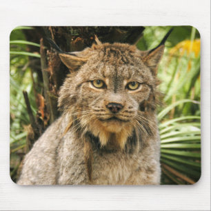Alfombrilla De Ratón Lince canadiense 4200e
