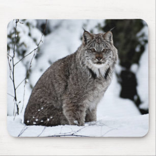 Alfombrilla De Ratón Lince canadiense en la nieve