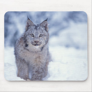 Alfombrilla De Ratón Lince en la nieve en las estribaciones
