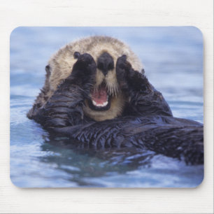 Alfombrilla De Ratón Linda nutria de mar Alaska, EE. UU.