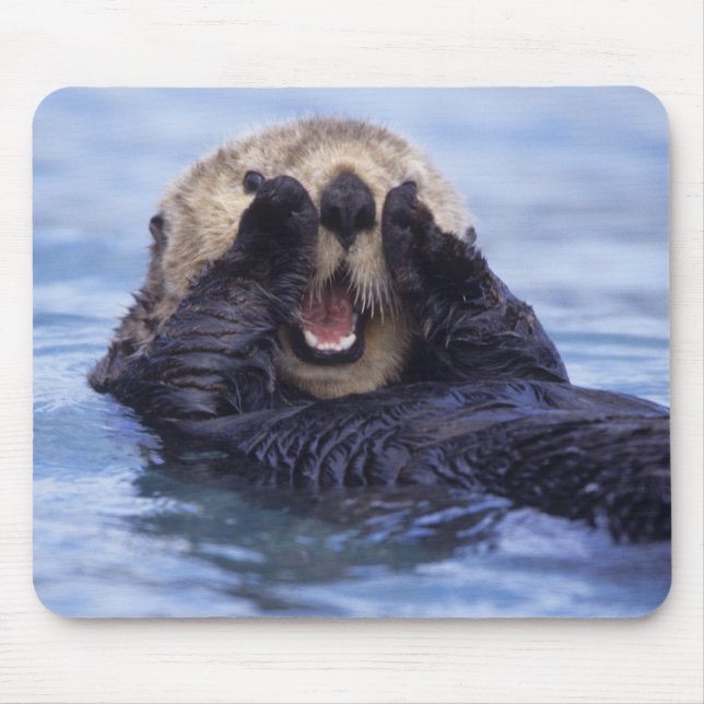 Alfombrilla De Ratón Linda nutria de mar | Alaska, EE. UU. (Frente)