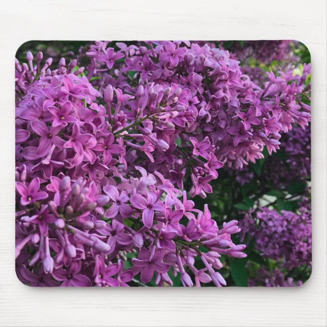 Alfombrilla De Ratón Línlacas rosadas púrpura | foto floral rosa románt (Frente)