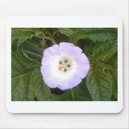 Alfombrilla De Ratón Linterna china