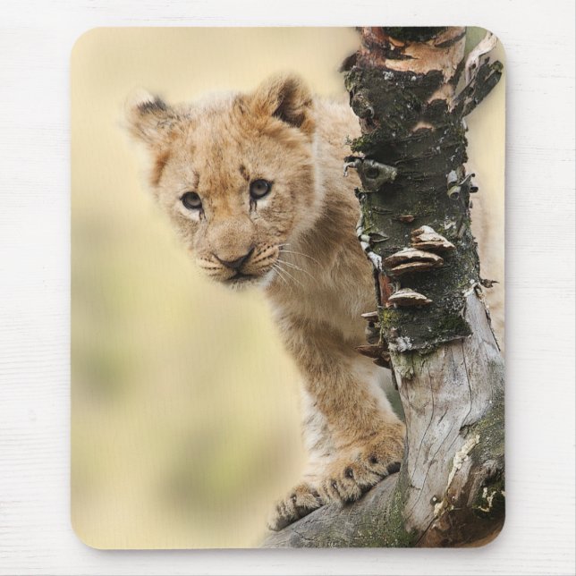 Alfombrilla De Ratón Lion Cub Climbing Tree Cute Photo (Frente)