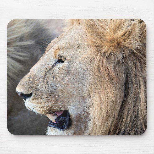 Alfombrilla De Ratón Lion Portrait (Frente)