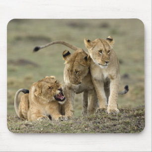 Alfombrilla De Ratón Lion Siblings