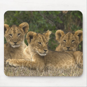 Alfombrilla De Ratón Lion Siblings