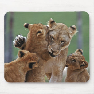 Alfombrilla De Ratón Lioness y 3 Cubs Mousepad