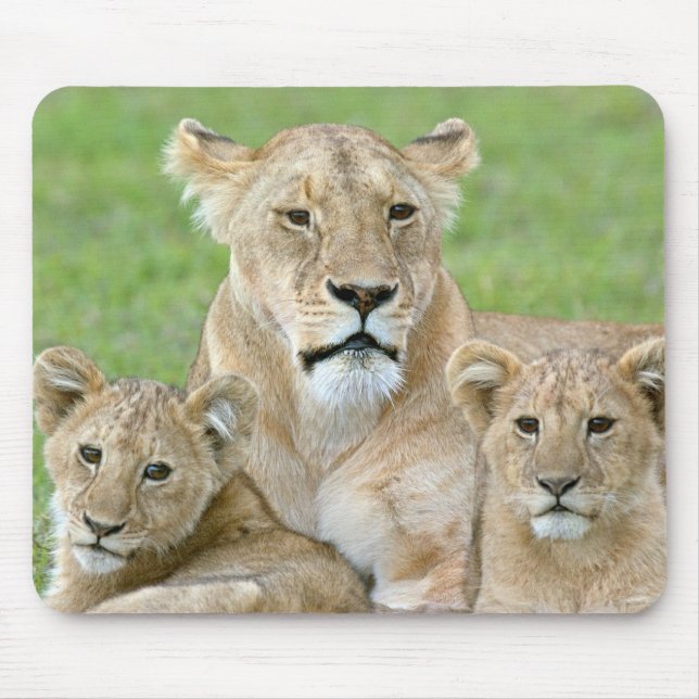Alfombrilla De Ratón Lioness y Two Cubs, África Oriental, Tanzania, (Frente)