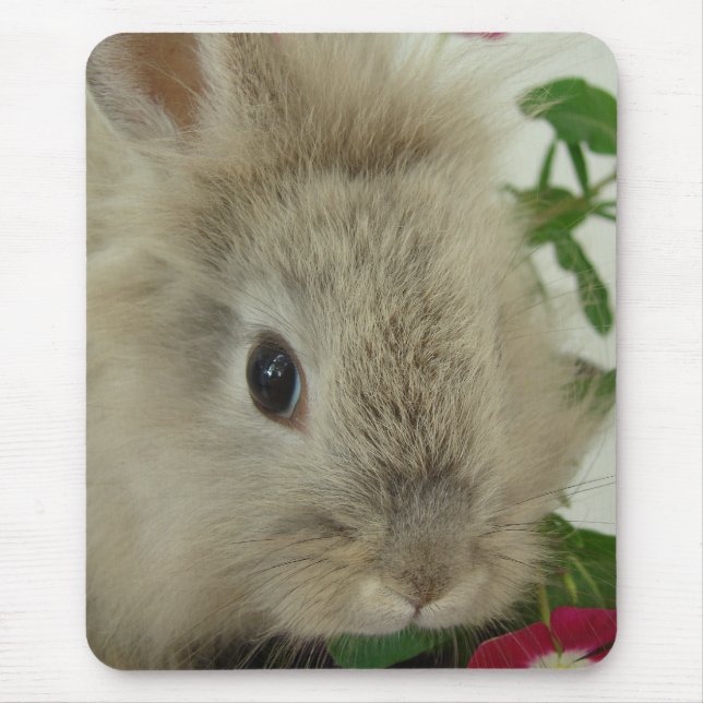 Alfombrilla De Ratón Lionhead Bunny (Frente)