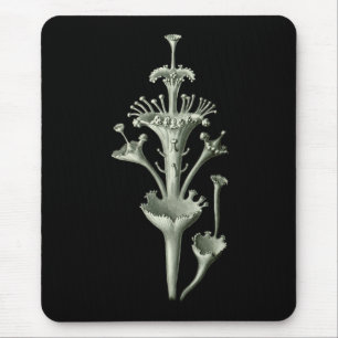 Alfombrilla De Ratón Liquen de la taza