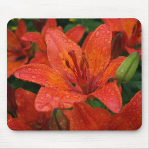 Alfombrilla De Ratón Lirio anaranjado Mousepad