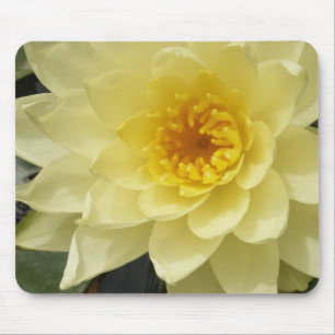 Alfombrilla De Ratón Lirio de agua amarilla Mousepad