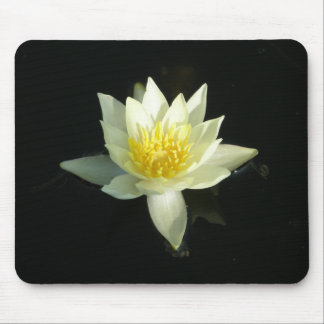 Alfombrilla De Ratón Lirio de agua blanca/Lotus