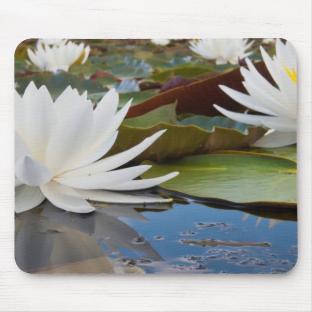Alfombrilla De Ratón Lirio De Agua Fragrante (Nymphaea Odorata) En Cadd (Frente)