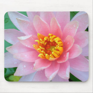 Alfombrilla De Ratón Lirio de agua rosado Mousepad