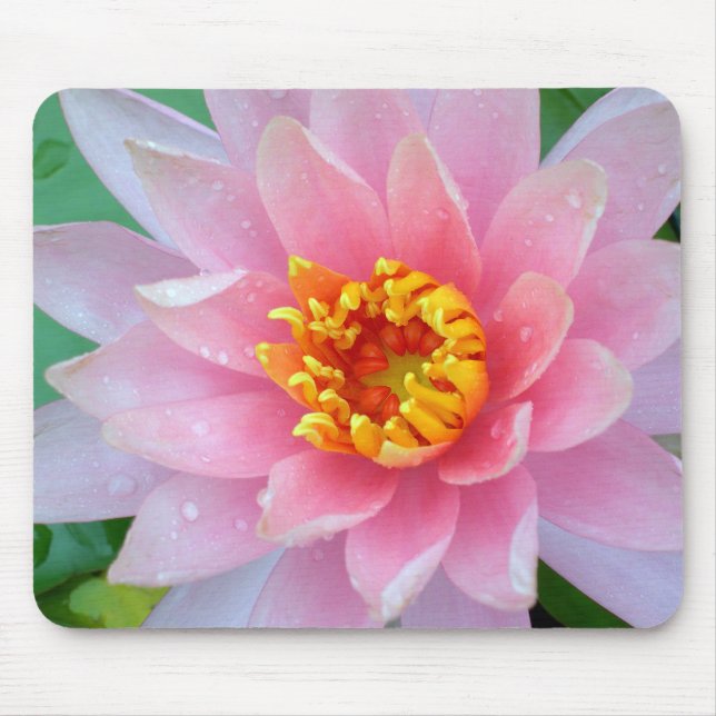 Alfombrilla De Ratón Lirio de agua rosado Mousepad (Frente)