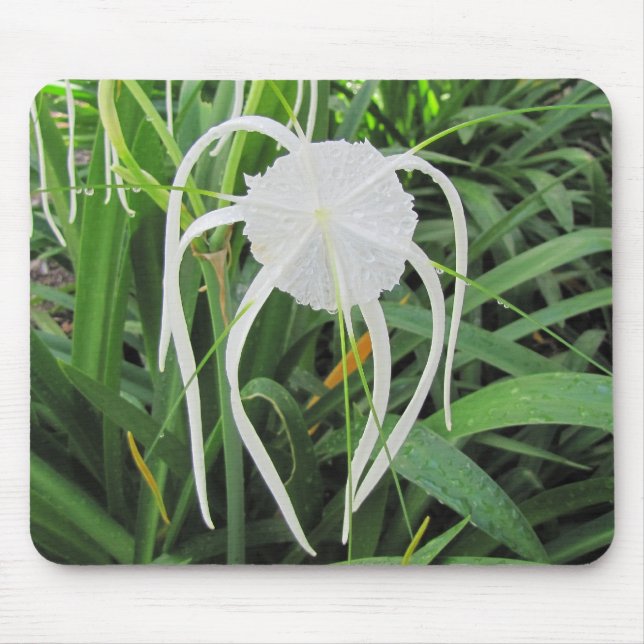 Alfombrilla De Ratón Lirio de pantano con lluvias en Mousepad (Frente)