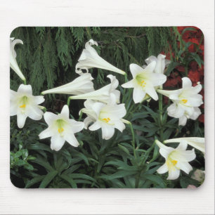 Alfombrilla De Ratón Lirio de Pascua (Lilium regale)