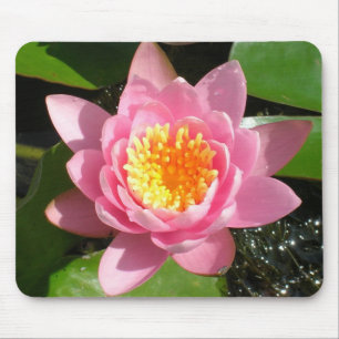 Alfombrilla De Ratón Lirios de agua rosados