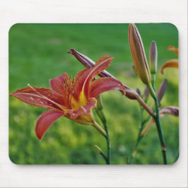 Alfombrilla De Ratón Lirios tigrados