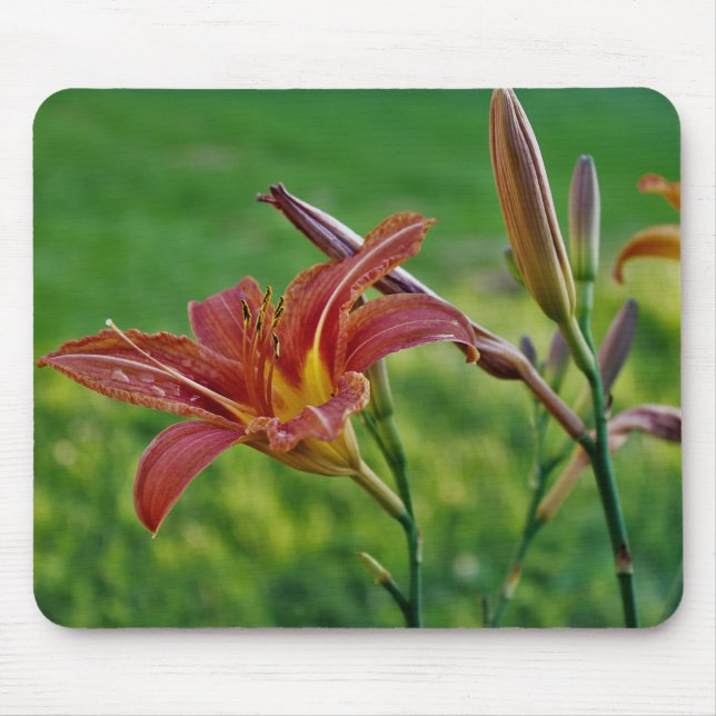 Alfombrilla De Ratón Lirios tigrados (Frente)