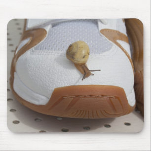 Alfombrilla De Ratón Listo Para La Carreras Del Caracol