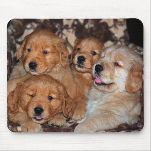Alfombrilla De Ratón Litro de Golden Retriever