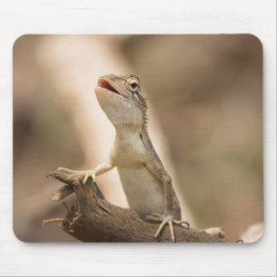 Alfombrilla De Ratón Lizarras, reptiles, animales en el Jardín Oriental