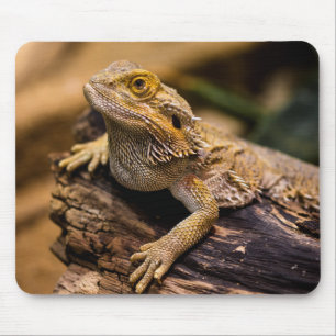 Alfombrilla De Ratón Lizarras, reptiles, dragones