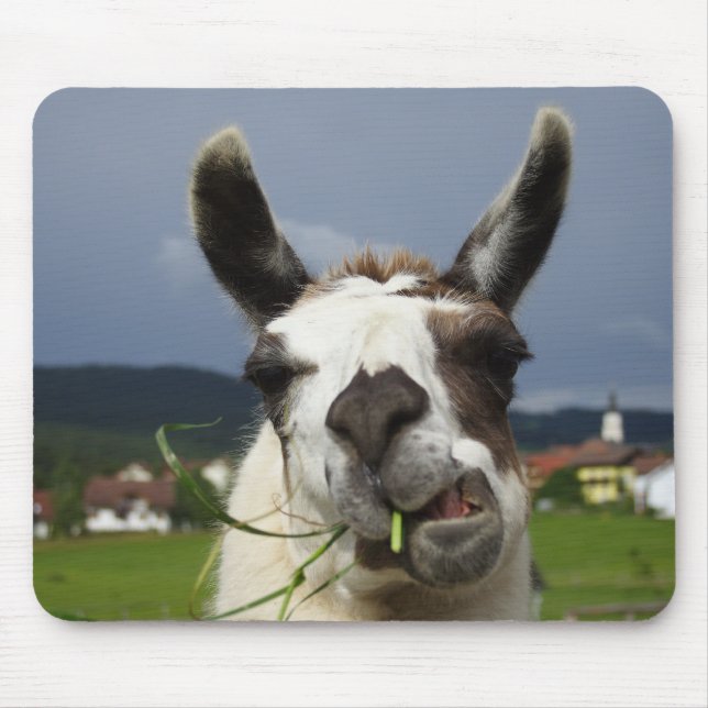 Alfombrilla De Ratón Llama más fría (Frente)