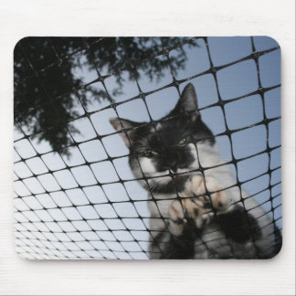 Alfombrilla De Ratón Lleve el gato en la puesta del sol Mousepad