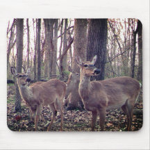 Lo hace en la granja