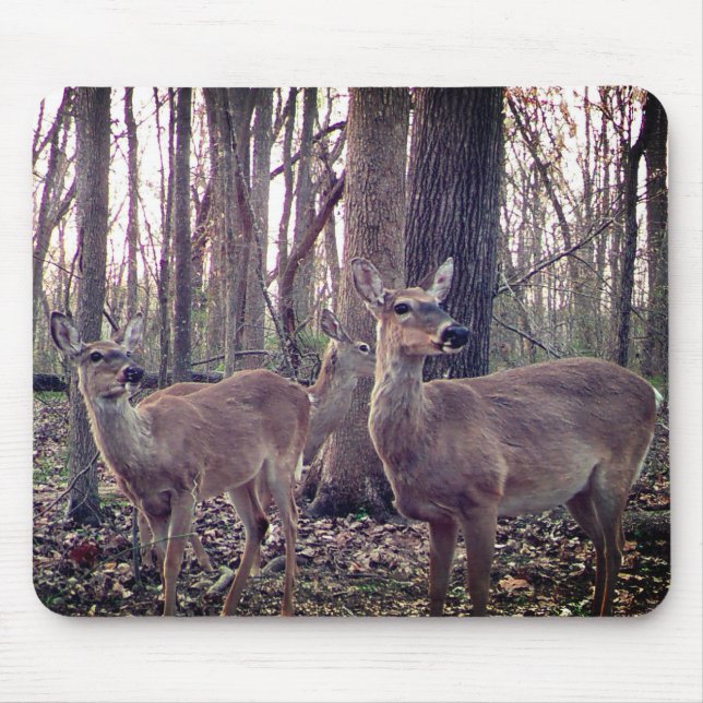 Alfombrilla De Ratón Lo hace en la granja (Frente)