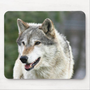 Alfombrilla De Ratón Lobo