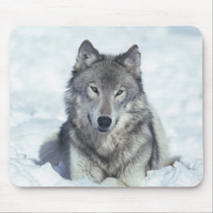 Alfombrilla De Ratón Lobo