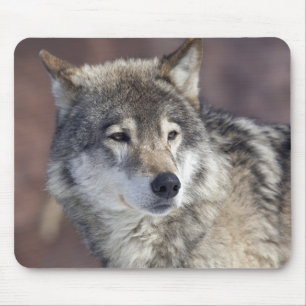 Alfombrilla De Ratón Lobo