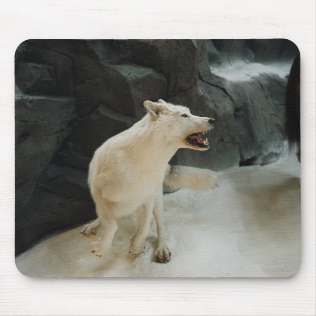 Alfombrilla De Ratón Lobo blanco (Frente)