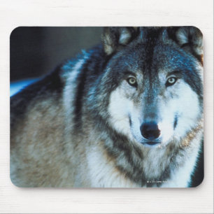 Alfombrilla De Ratón Lobo de madera