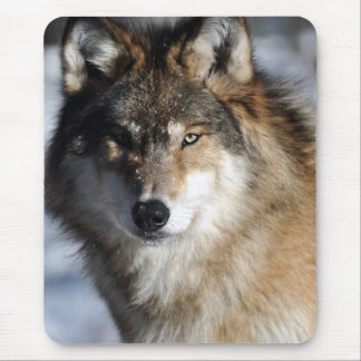 Alfombrilla De Ratón Lobo gris