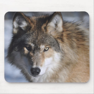 Alfombrilla De Ratón Lobo gris