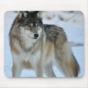 Alfombrilla De Ratón Lobo gris