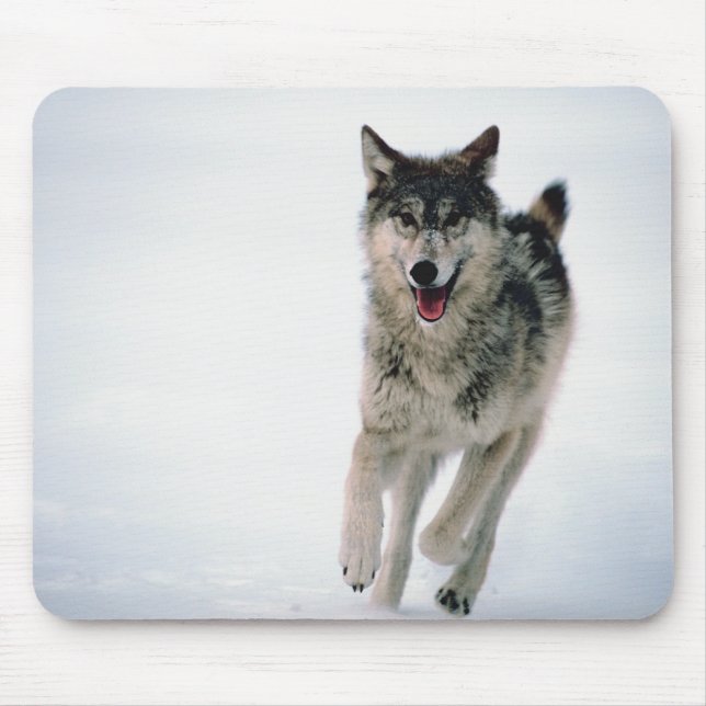 Alfombrilla De Ratón Lobo gris corriendo (Frente)