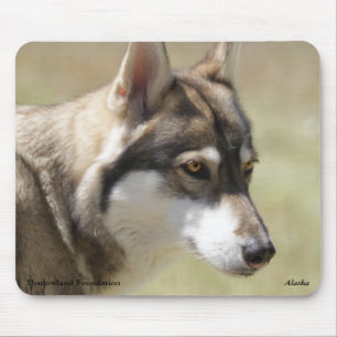 Alfombrilla De Ratón Lobo gris Mousepad