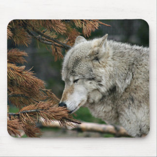 Alfombrilla De Ratón Lobo mediador