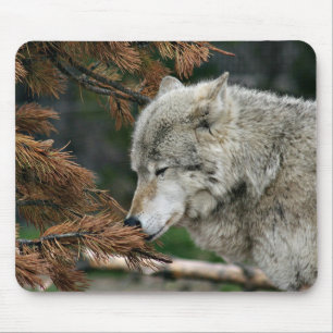 Alfombrilla De Ratón Lobo Meditating